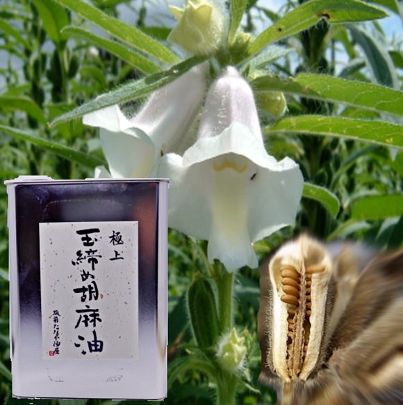 極上玉締め胡麻油（低圧搾り一番搾り）