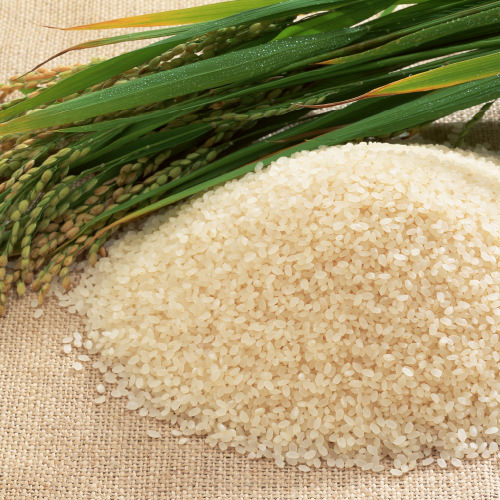 平石屋吉田商店