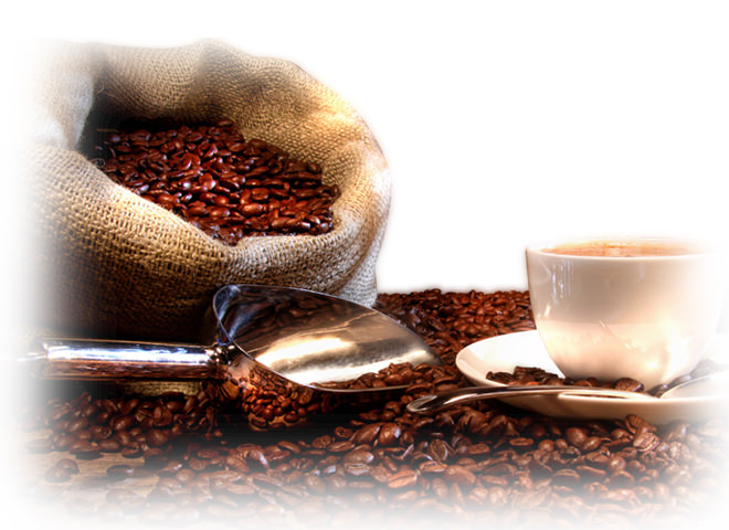 オーガニックマウンテン有機インスタントコーヒー