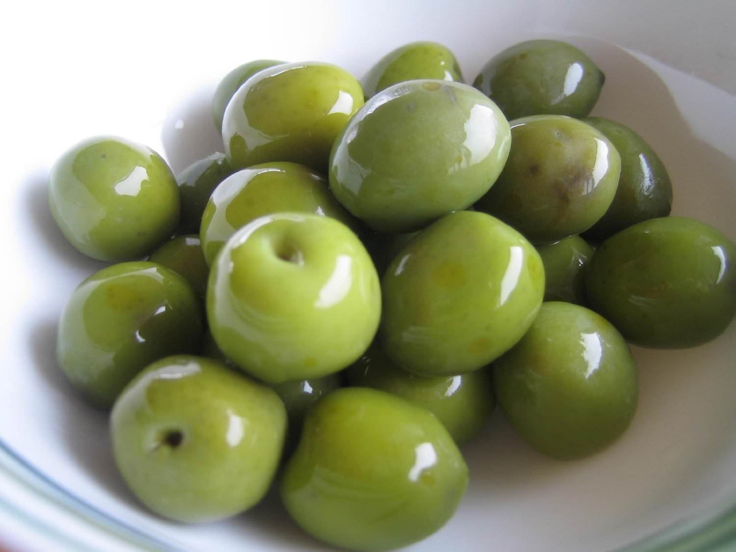 生種付き　特用　オリーブ